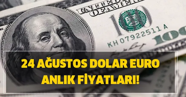 24 agustos dolar euro kuru ne kadar