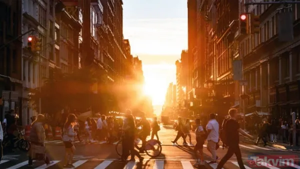 Dünyanın en tehlikeli 10 hayvanı açıklandı! Zirvedeki canlının tek ısırığı yetiyor - 11