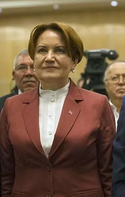 Yeni partide 'bozkurt ve 'Başbuğ' yasağı