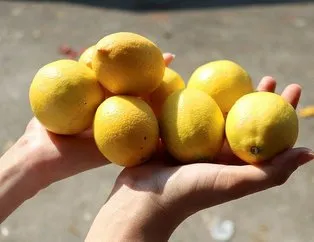 Selülitlere limon