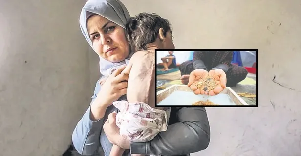 Gazze'de açlık krizi! Kumla karışan pirinçleri toplamak için mücadele verdiler