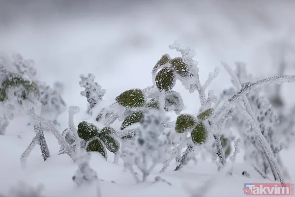 Meteroloji'den yeni rapor geldi! İstanbul'da yılın ilk karı ne zaman yağacak? Gözler o tarihte: Her yer buz kesecek! - 12