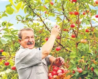 Üreticiye 284 milyon TL