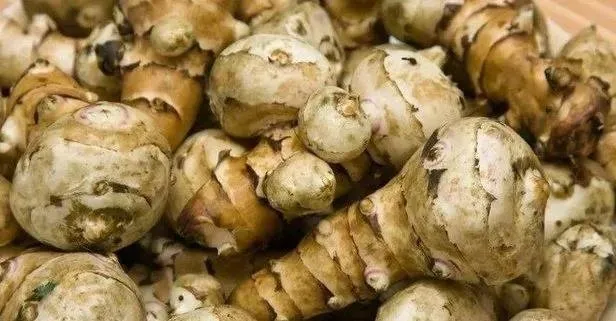 Yer elmasının faydaları nelerdir? Nelere iyi gelir?