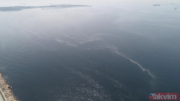 Müsilaj kabusu geri döndü! İstanbul'da müsilaj her geçen dakika artıyor - 8