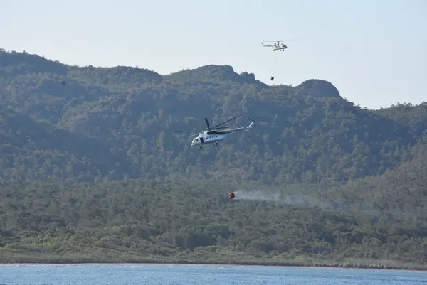 tarim-ve-orman-bakani-vahit-kirisci-meral-aksenerin-orman-yanginlariyla-ilgili-yalanlarina-cevap-verdi-1655889314547.jpg Tarım ve Orman Bakanı Vahit Kirişci Meral Akşener'in orman yangınlarıyla ilgili yalanlarına cevap verdi-4