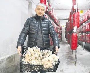 Hobi işe dönüştü