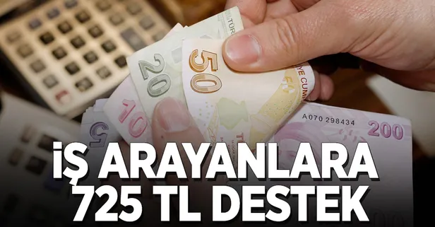 İş arayanlara 725 TL destek