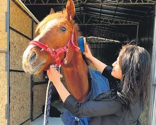 Sincan’da parklara kadın eli değdi