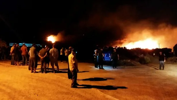 aydin-sokede-orman-yangini-alevler-yukseldi-1660855018322.jpeg Aydın Söke'de orman yangını! Alevler yükseldi-3