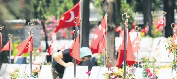 Terör mağdurlarına 212 milyon TL destek