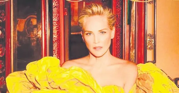 Soylu Sharon Stone! Kral Şarlman ile akraba çıktı: Amerikalı oyuncu şaşkına döndü