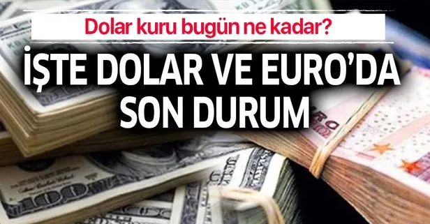 18 Ağustos 2019 dolar ne kadar?