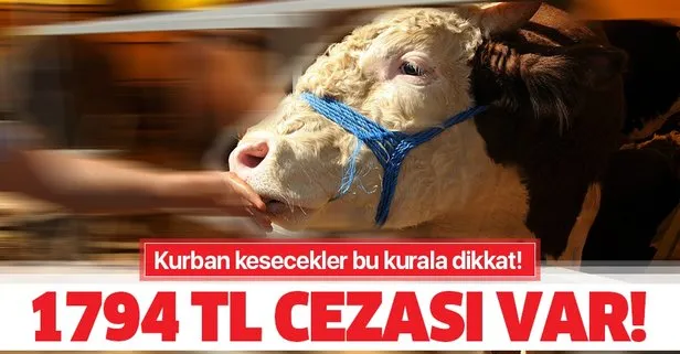 Kurban kesecekler dikkat! Bu kurala uymayan...