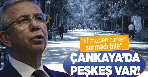 Çankaya halkından CHP’li Mansur Yavaş’a isyan: 60 yıllık parkımızı elimizden aldı