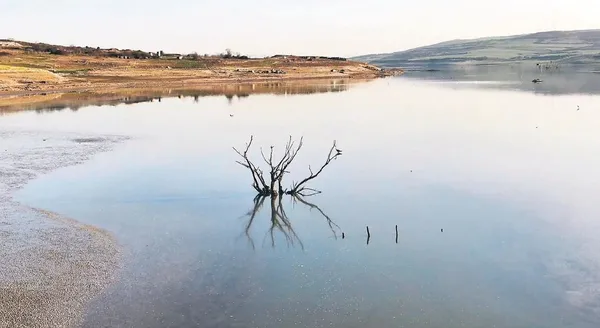 tehlike-baraji-asti-1609709270968.jpeg Tehlike barajı aştı! Türkiye’de kuralık alarmı çalmaya başladı: İstanbul'da su oranı kritik seviyede-1