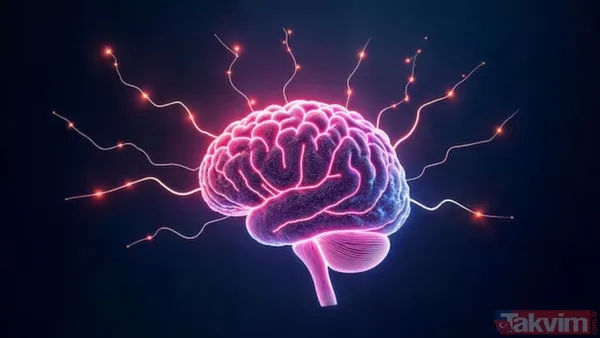 İbn-İ Sina'nın Yüzyıllar Önce Önerdiği Bu Baharatlar, Günümüzde De Hafızayı Güçlendirmek Ve Zihinsel Sağlığı Desteklemek İsteyenler İçin Doğal Bir Alternatif...