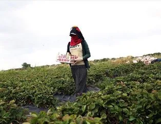 Tarımda kadınlar için iş seferberliği