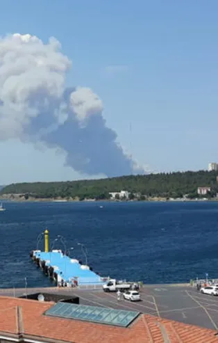 Son dakika: Çanakkale'de orman yangını!