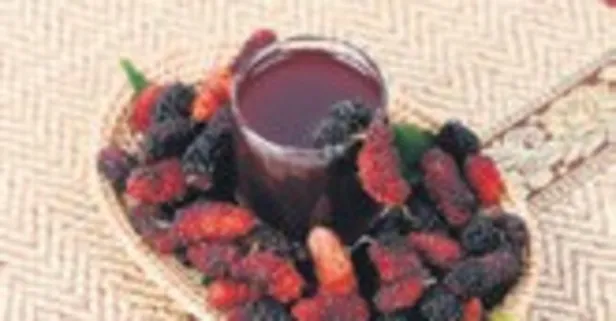 Kansızlığa karadut