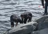Son dakika: Zeytinburnu sahilinde denizden erkek cesedi çıkarıldı .