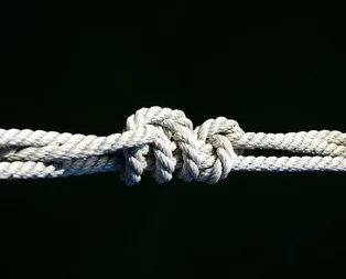 Domuz bağı nedir? Domuz bağı ne demek?