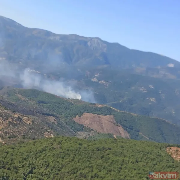 SON DAKİKA: Kazdağları'nda orman yangını! 3 saatlik müdahaleyle kontrol altına alındı - 7