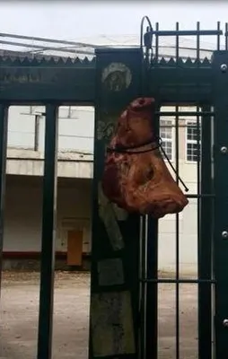 Hitler’in torunları meydana çıktı