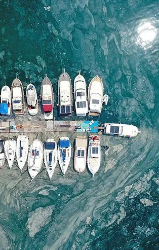 Çevre ve Şehircilik Bakanı Murat Kurum: Toplam 6.929 metreküp müsilajı bertaraf ettik