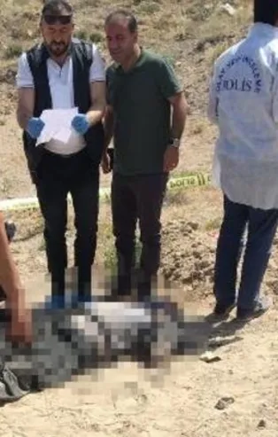 Boş arazide bu halde bulundu