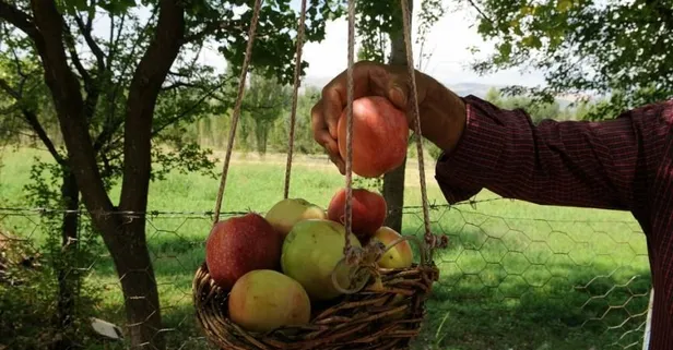 MEYED: İçecek fiyatları artmayacak