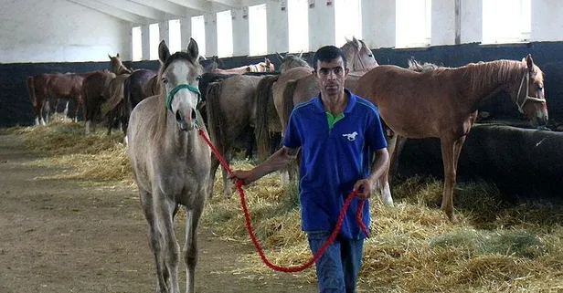 Şampiyon taylardan 22 milyon lira