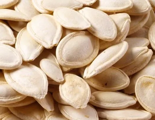 Sağlık için kabak çekirdeği