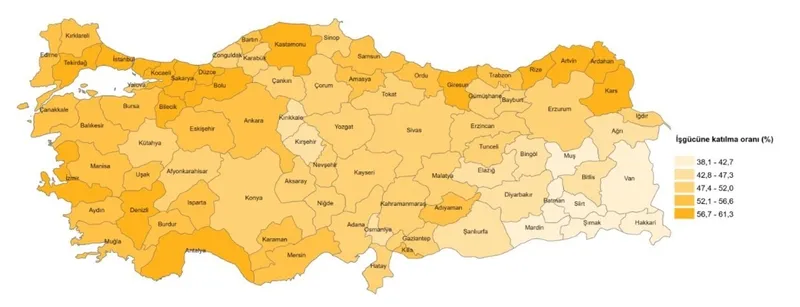 İşgücüne katılma oranı (%), İBBS 3. Düzey, 2025