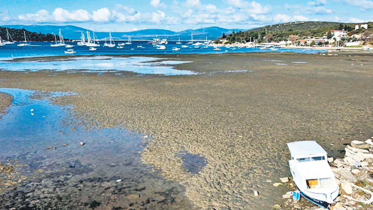 Ege'de peş peşe deprem | Önce Datça sonra Yunanistan! Tsunami uyarısı yapıldı