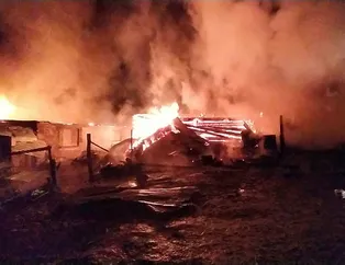 Kastamonu’da yangın! Bir ev ve ahır küle döndü
