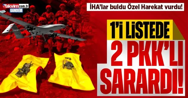 Van’da terör örgütü PKK’ya darbe: 1’i arananlar listesinde 2 terörist sarı torbaya girdi!