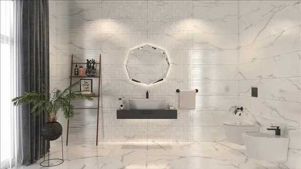 Avrupada iki klozetin yan yana olma sebebi ortaya çıktı! Meğer işin gerçeği buymuş