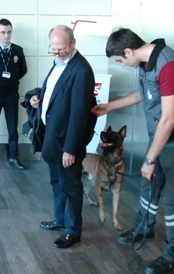 Türkiye'den Avusturya'ya tokat gibi misilleme!