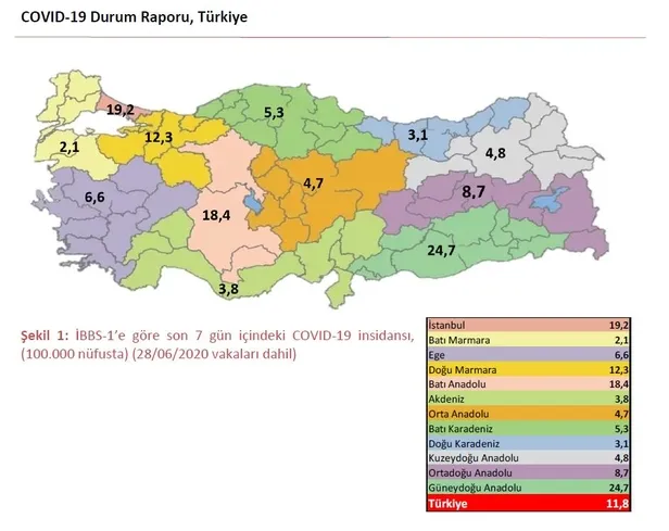 Son dakika: Sağlık Bakanlığı "Kovid-19" raporunu yayımladı: 22-28 Haziran arasında ise 10 bin 355 kişi iyileşti-4