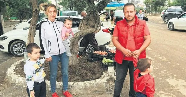 Araçlarıyla sel felaketinin ortasında kalan aileyi zeytin ağacı kurtardı