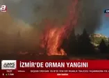 Son dakika: İzmir Aliağa'da orman yangını