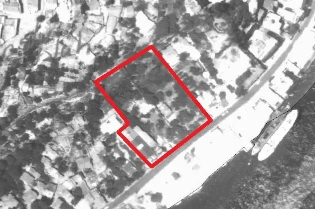 Kurul durdurdu, Koç Holding umursamadı! Tarihi alanda 14 türde 55 ağaç kestiler