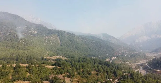 Son dakika: Adana’daki orman yangınına havadan müdahale tekrar başladı