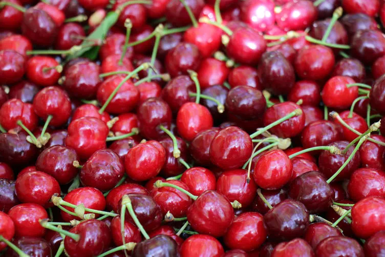 ibrahim-saracoglu-gaz-agrisi-cekenler-icin-acikladi-bu-cayi-icenin-agrilari-hemen-kesiliyor-1724156081669.jpg İbrahim Saraçoğlu gaz ağrısı çekenler için açıkladı! Bu çayı içenin ağrıları hemen kesiliyor-5