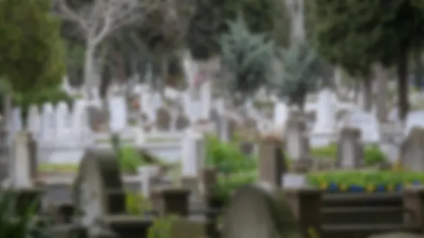 istanbulda-soke-eden-olay-tabuttan-bebek-yerine-kesik-bacak-cikti-aile-neye-ugradigini-sasirdi-1647335075425.jpg İstanbul'da şoke eden olay! Tabuttan bebek yerine kesik bacak çıktı! Aile neye uğradığını şaşırdı-2