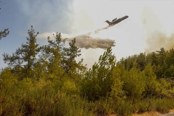 SON DAKİKA: Türkiye'de orman yangınlarında son durum! Yangından etkilenen 5 ile 11 milyon TL'lik daha kaynak-2