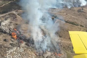 İzmir’de orman yangını