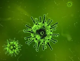 Çinli bilim insanları 24 farklı koronavirüs türü tespit etti