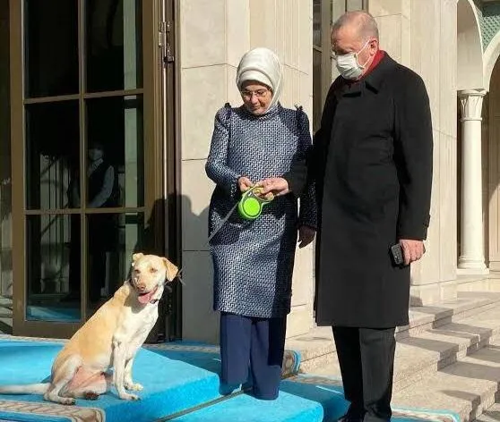 saglik-bakani-fahrettin-koca-duyurdu-baskan-recep-tayyip-erdoganin-saglik-durumu-iyi-1644075857433.jpeg Sağlık Bakanı Fahrettin Koca duyurdu! Başkan Recep Tayyip Erdoğan'ın sağlık durumu iyi-3